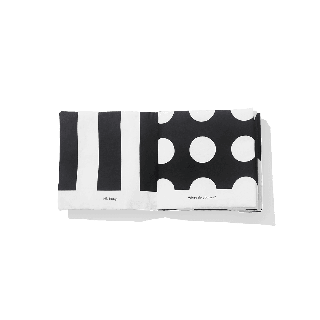 what do you see baby book Lovevery